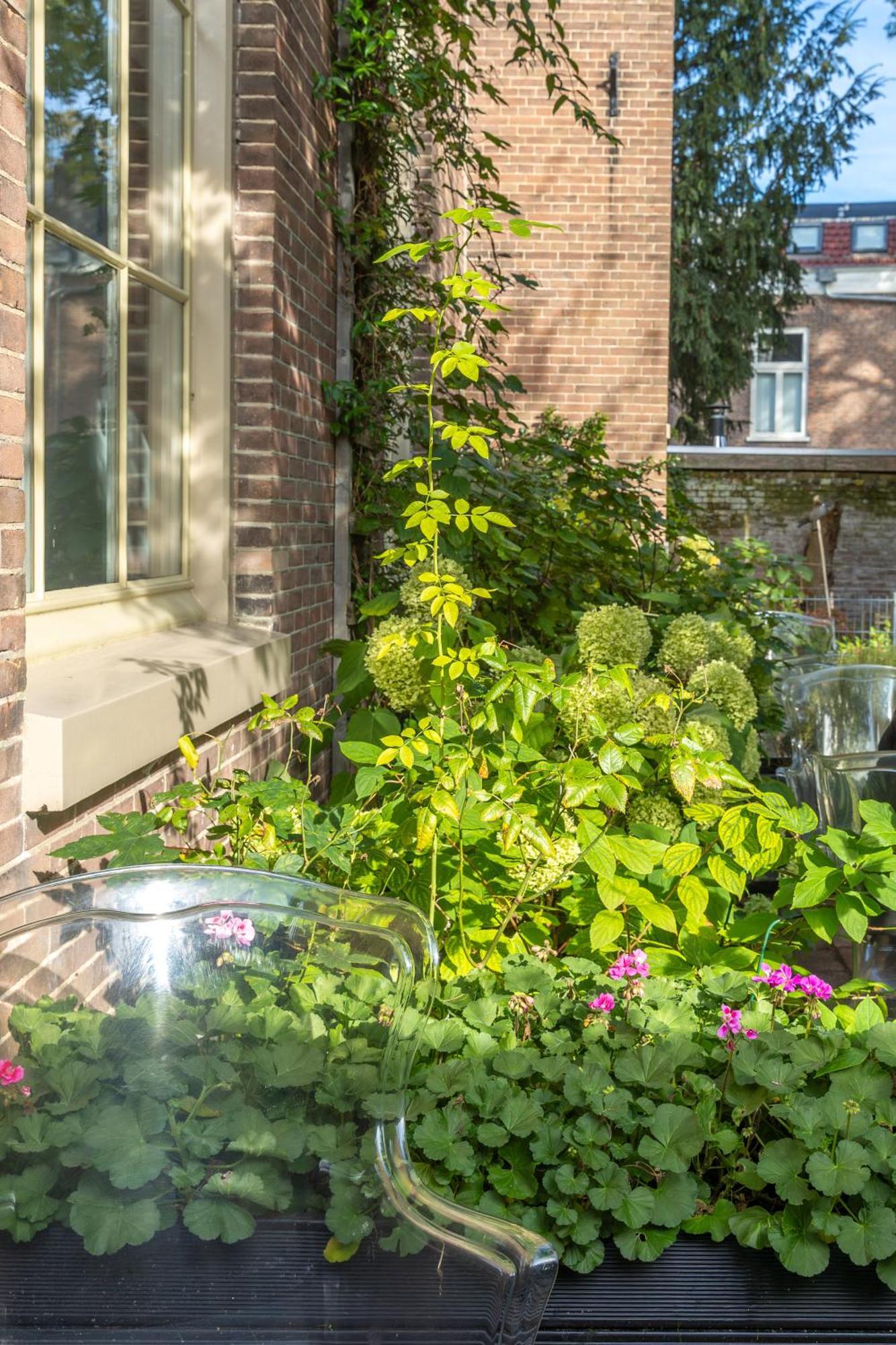 Boutiquehotel Staats Hotel Haarlem